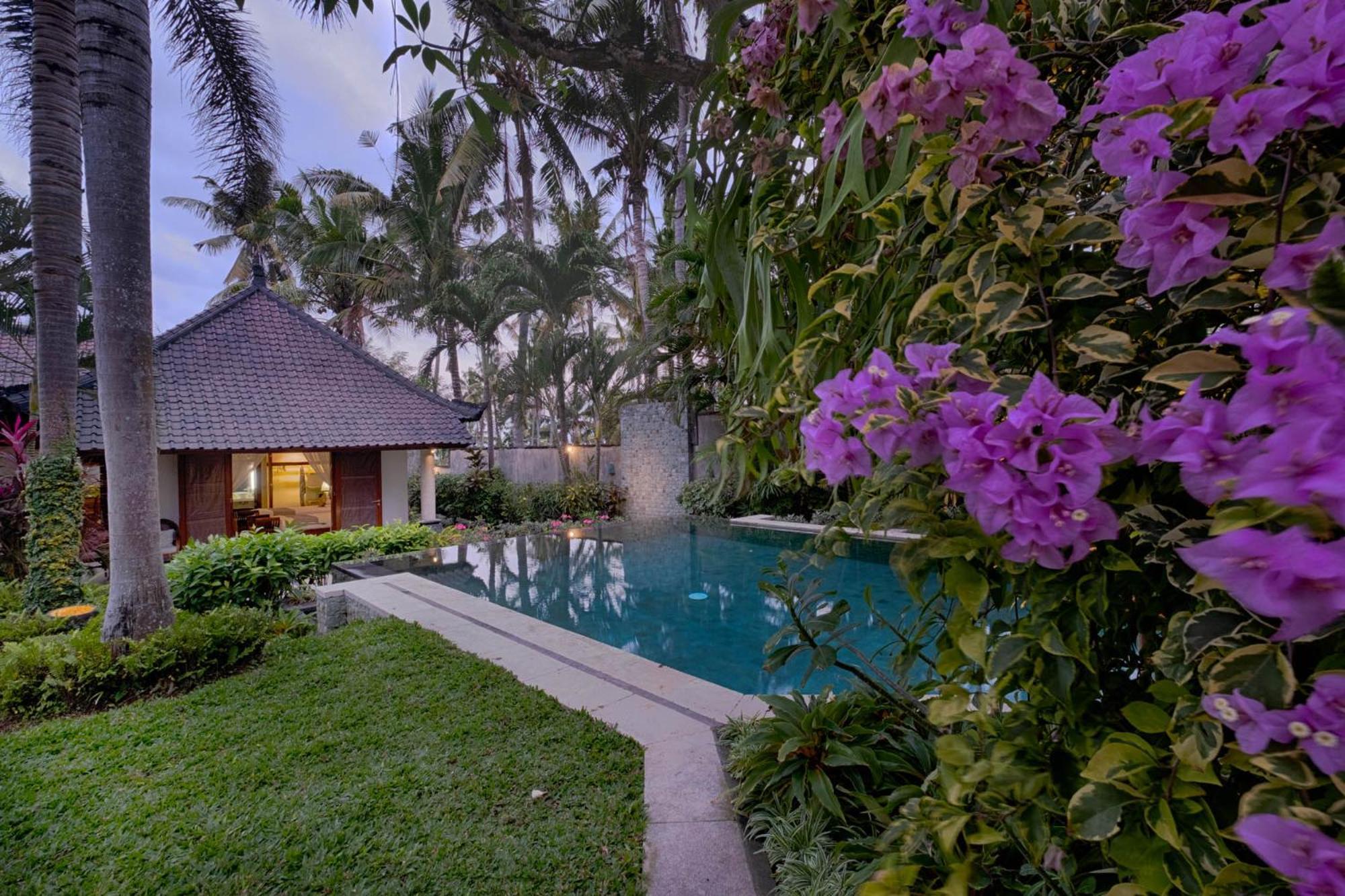 Kutus Kutus Saba * Yogyakarta
